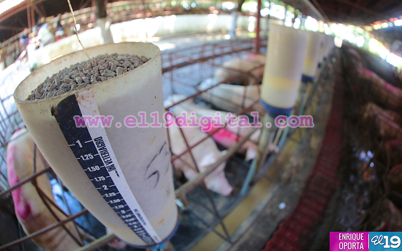 matadero
